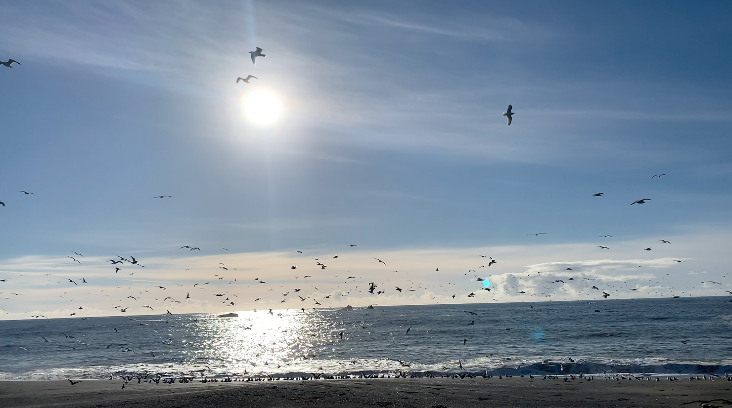 Blue Sky with Birds