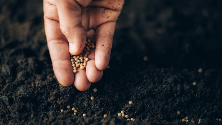 Some “Seeds” Are Too Expensive to Scatter